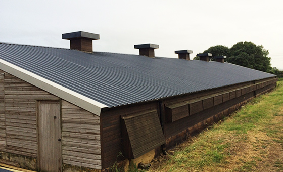 Industrial Asbestos Shed Manufacturer in Manesar Gurgaon